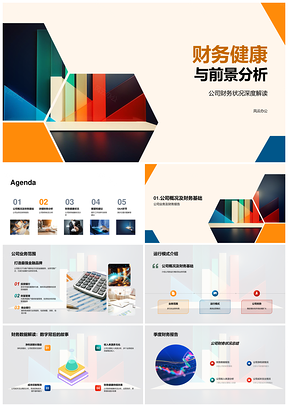 公司财务健康季度财报业务净利前景分析PPT模板