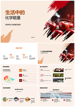 食物消化系统的化学能量转化反应PPT模板