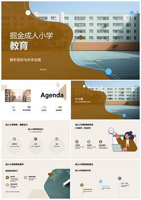 成人小学教育现状发展需求及政策法规探析PPT模板