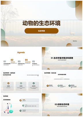 小学动物生态教学课件