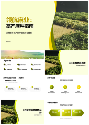 高产麻种农展种植指南供应商PPT模板