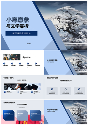 小寒节气古典文学雪松坚毅象征PPT模板