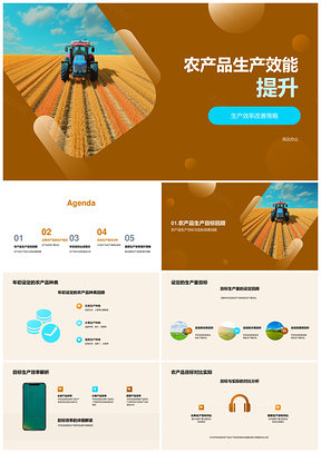 农产品生产效能提升及蔬菜麦田效率策略PPT模板