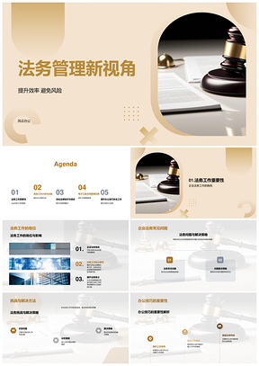 法务管理效险双控实务精进PPT模板