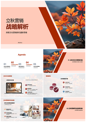品牌经理立秋文化营销策略提升销售业绩PPT模板