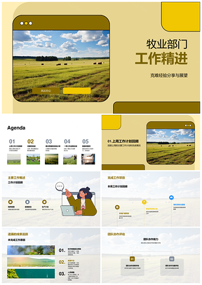 牧业部门工作精进总结评估与改进方向分析PPT模板