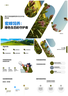 蜜蜂饲养可持续生态模式专家演讲PPT模板