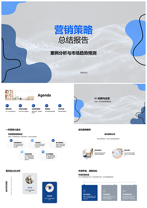 营销策略总结趋势竞品案例活动品牌提升PPT模板
