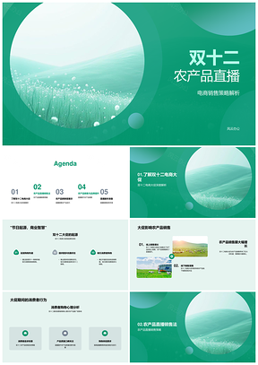 双十二农产品直播电商销售策略与消费心理PPT模板