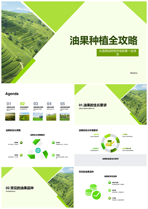 油果鳄梨种植技术专家指南生长周期环境品种PPT模板