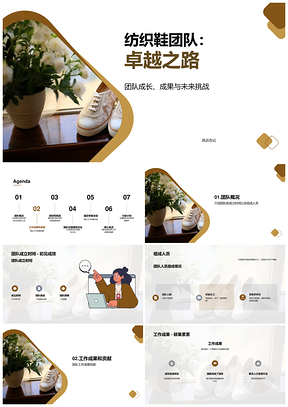 纺织面料鞋制造团队季度成果挑战发展PPT模板