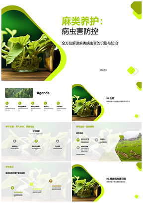 麻类种植病虫害防治策略与农户专家指导PPT模板