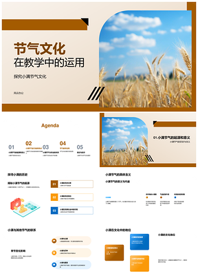 小满节气文化教学与农业习俗起源PPT模板