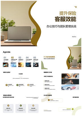 保险客服团队管理流程优化与效能提升PPT模板