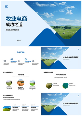 牧业电商市场趋势与在线销售策略PPT模板