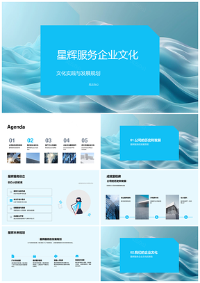 星辉服务企业文化价值观客户员工发展规划成就PPT模板