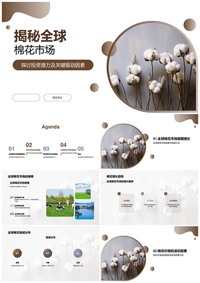全球棉花市场规模增长趋势及地域分布价格波动PPT模板