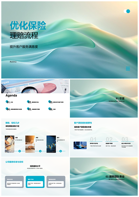 保险理赔流程优化与客户服务满意度提升案例分析PPT模板