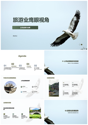 旅游业运营数据新兴市场趋势鹰眼分析PPT模板