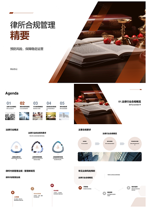 律所合规管理法律风险防控准则策略PPT模板