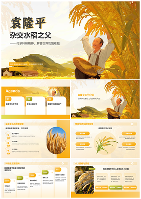 袁隆平杂交水稻科研精神农业执着粮食英雄科学遗产全球影响PPT模板