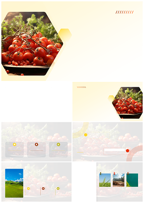 春节农产品营销策略与春节销售数据分析PPT模板