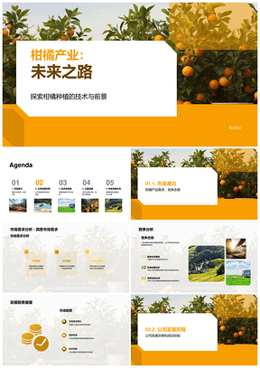 柑橘公司发展历程与产业前景PPT模板