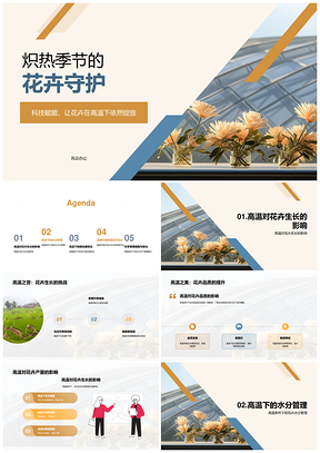 高温花卉生产技术农学专家合作社硕士座谈答辩PPT模板