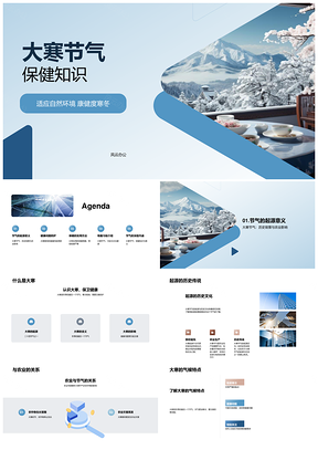 大寒节气保健防寒糍粑雪景农业专家建议PPT模板