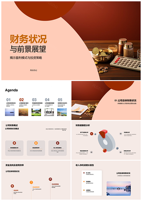 财务健康竞争战略与发展前景解析PPT模板