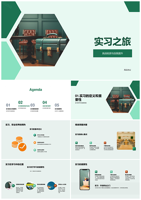 实习历练学途成长启航征程PPT模板