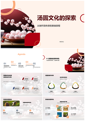 汤圆元宵节文化传承工艺社区家庭历史食材PPT模板