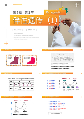 2025基因伴性遗传生物课件教案PPT模板