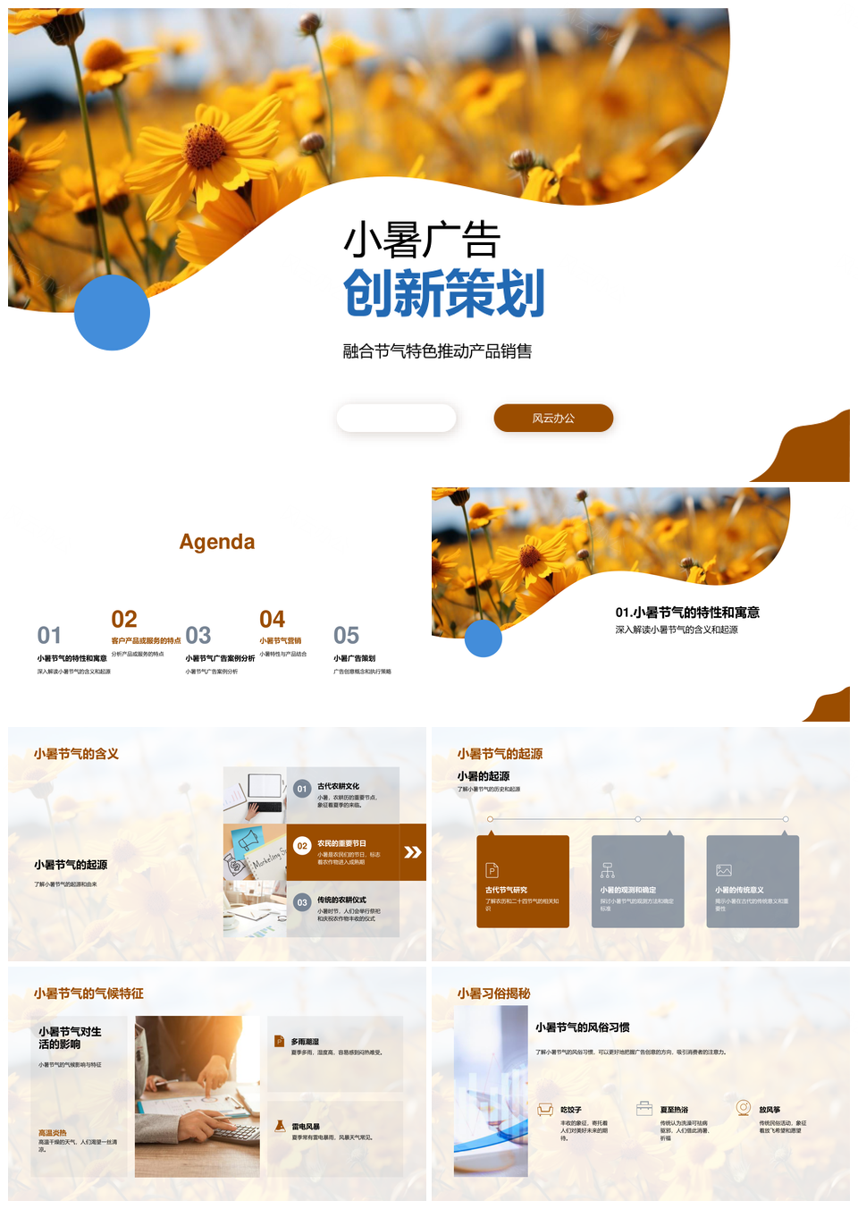 小暑广告创新策划产品销售成功案例向日葵节气特色PPT模板