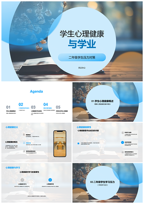 二年级学生心理健康与学业压力对策PPT模板