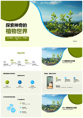 二年级生物探索植物根系茎叶输送吸收PPT模板