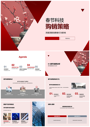 春节科技消费需求与购销策略分析PPT模板