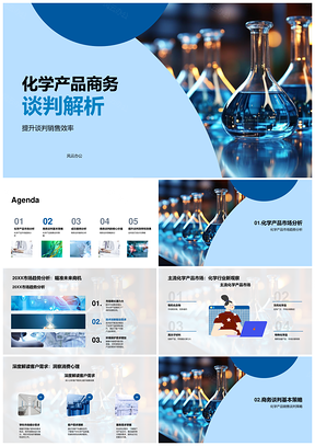 化学产品商务谈判策略与市场客户需求PPT模板