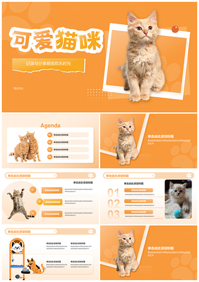 萌宠猫咪温馨瞬间图集模板分享记录PPT模板