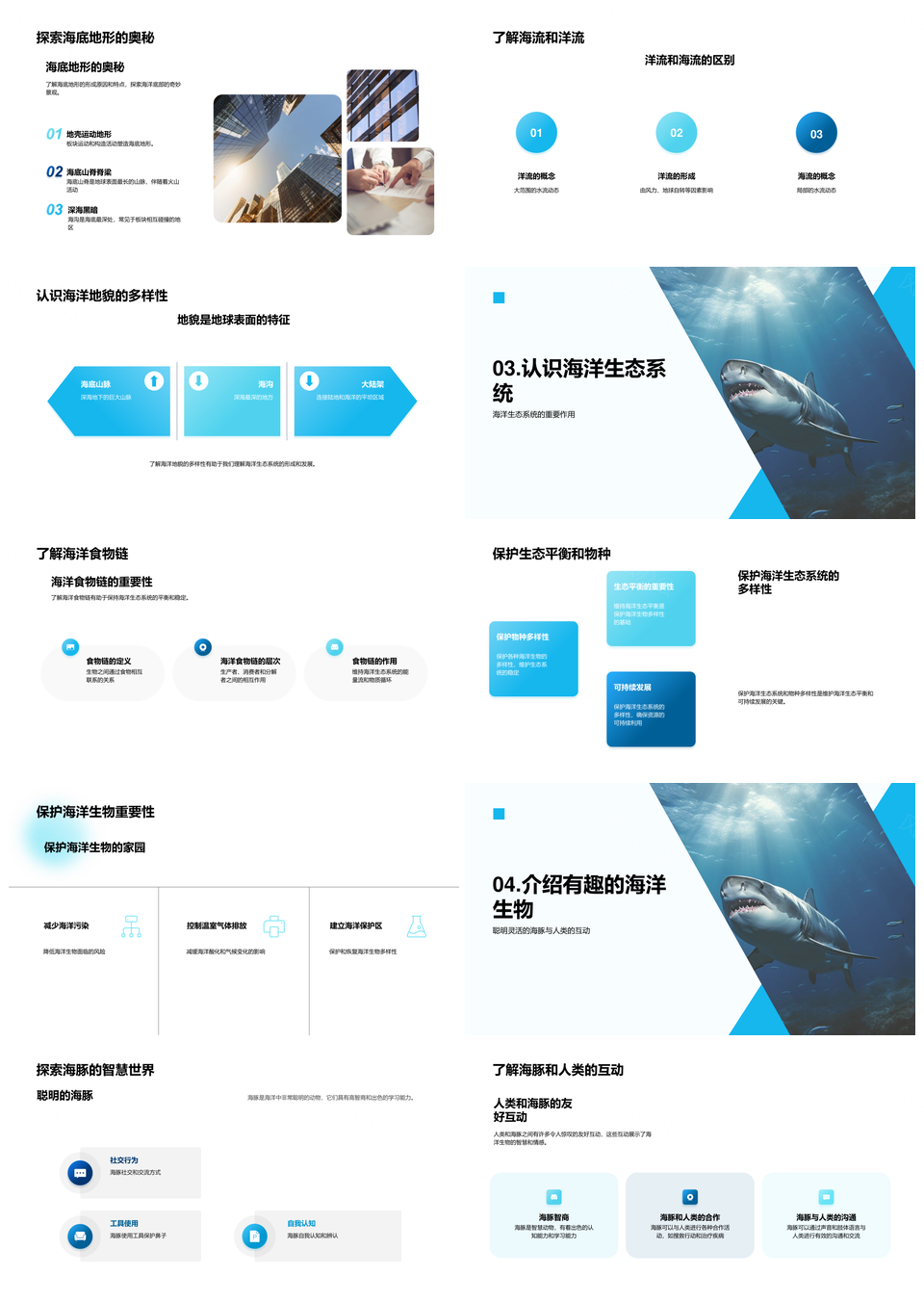 珊瑚礁海洋生物多样地貌海流碳循环探秘PPT模板