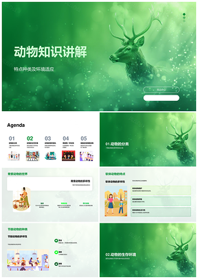 动物知识脊索软体节肢演化生存保护PPT模板