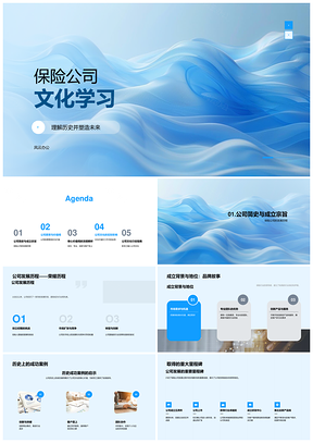 保险公司文化发展历程愿景价值观诚信专业PPT模板