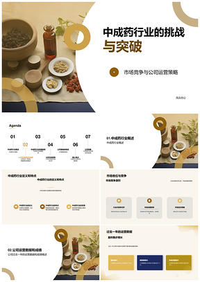 中成药行业挑战突破运营总监年终总结PPT模板