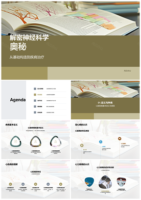 神经科学解密免疫系统疾病治疗机制PPT模板