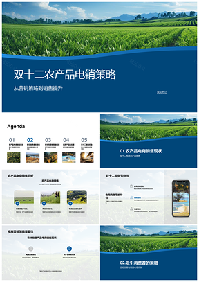 双十二农林牧渔农产品电商电销策略提升销售PPT模板