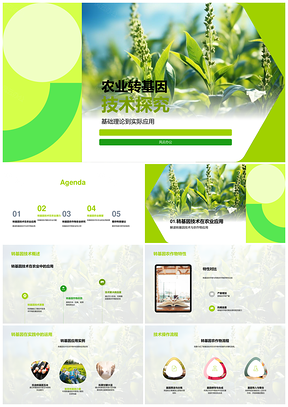 农业转基因技术抗病虫抗旱研究应用前景PPT模板