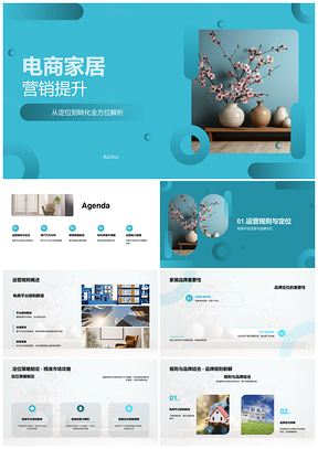 电商家居品牌定位转化策略选品定价运营调整PPT模板