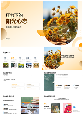 阳光心态抗压提升学习效率PPT模板