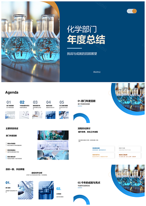 化学部门年度挑战成就项目突破流程优化客户反馈烧瓶总结PPT模板