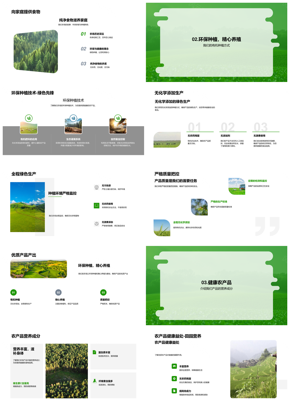 农场有机绿色食品健康营养环保种植展销定价质控PPT模板